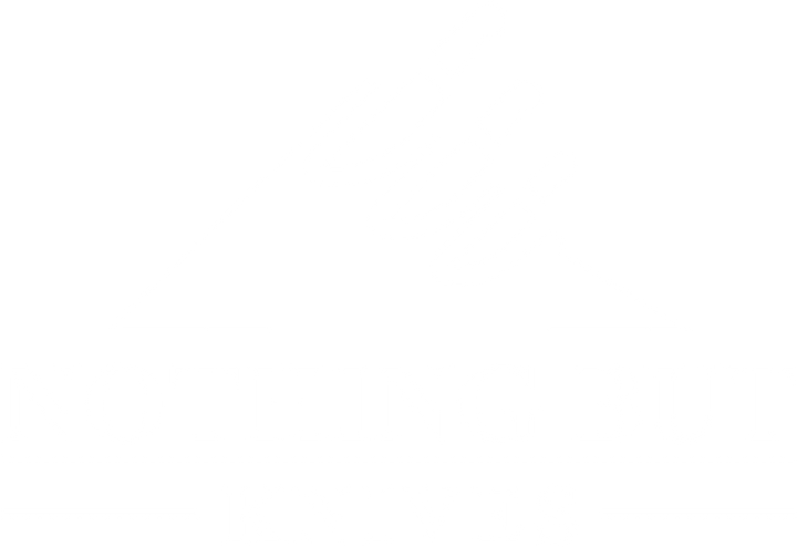 Nothing But Knives Logo