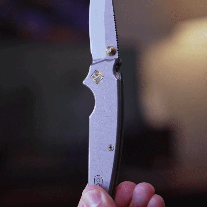 Shark lock mechanism
